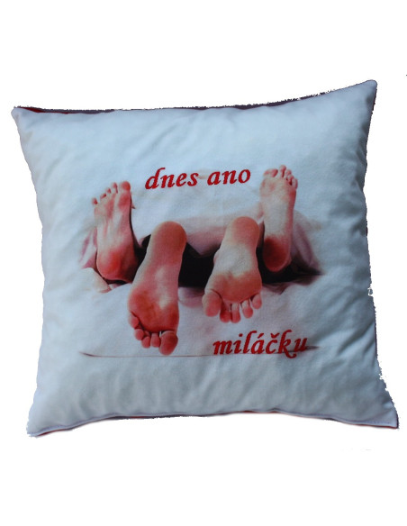 Polštářek Dnes ano miláčku 1