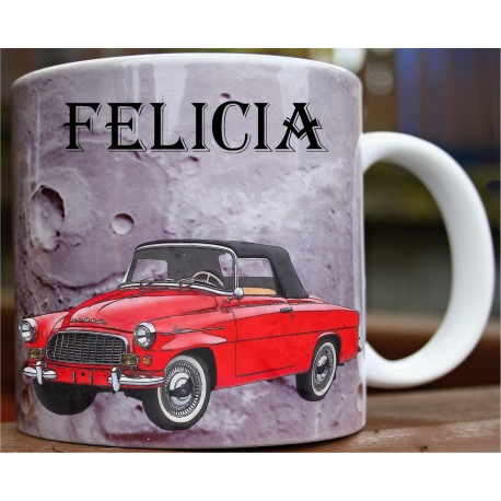 Hrneček auto Felicia